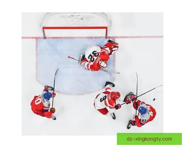 团结旗帜飘扬冬奥冰场助威丹麦